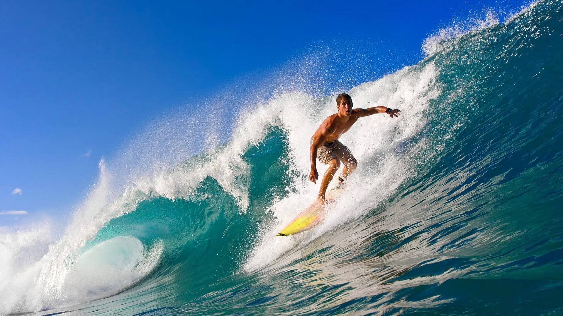 ayx爱游戏官网-_国际游泳节：水中世界的精彩碰撞_，2021国际游泳比赛